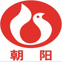 朝陽泵業(yè)QZ軸流、QH混流潛水電泵